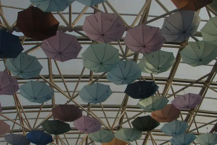 Recycled Umbrella Program Case Study, UK Distributor