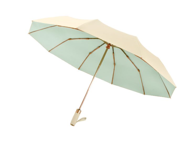 10-Rib Automatic Folding Business Umbrella with 3+3 Golden Frame and Color Coating