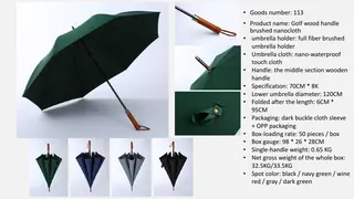 Umbrella catalog page 3 of 41