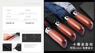 Umbrella catalog page 31 of 41